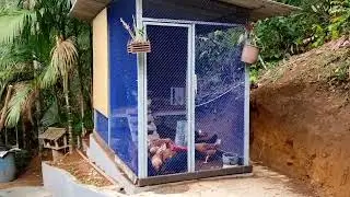 Galinheiro americano -  Parte 2 - As galinhas Chegaram!