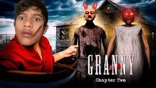 GRANNY CHAPTER 2 IN DOOR ESCAPE FAILED RG RIDU 