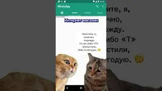 #catmemes #котымемы #мемы #talkingcats #говорящиекоты #смех #смехдослез