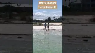 Dents Channel beach day in Tierra Verde, Florida #boating #florida #tierraverde