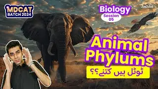 MDCAT Bio: Session 5, Animal Phylum