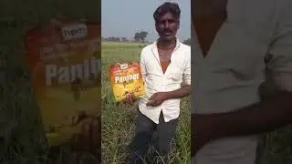 Garlic Field visit & famer review about HPM's Product Panther Gold #MP