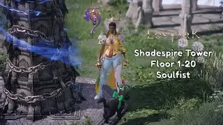 Shadespire Tower Floor 1-20