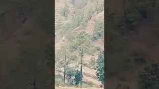 mero pahad bhalike jaya
