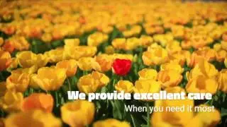 Renaissance - Family Owned and Operated
