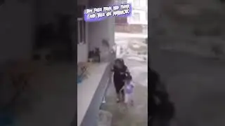 #boy falls from #3rdfloor and tells his #mother☠️ #shorts