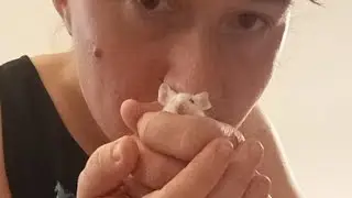 JoyBomb is with penelope! remodeling her enclosure #penelopethemouse #joybomb #smallrodent #smolpets