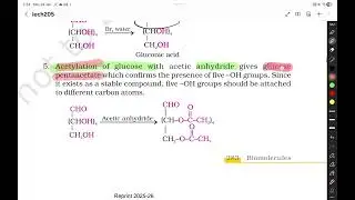 Biomolecules part 1: carbohydrates