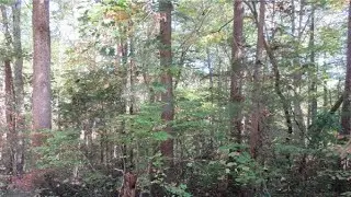 00 Cedar Trace Road, Indian Land, SC Presented by Karin Hull.