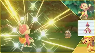 Live Shiny Chimchar in BDSP after ONLY 292 Resets!