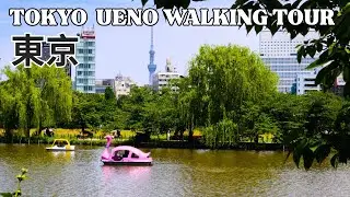 Tokyo Ueno in 4K - Exploring Ueno Park & City Streets - Walking Tour