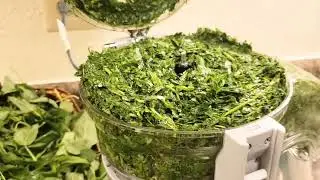 HOW VEGGIE BULLET WORK! SHRED MY PALAVA SAUCE, TRY IT OUT