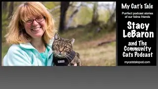 My Cat's Tale - Stacy LeBaron and The Community Cats Podcast