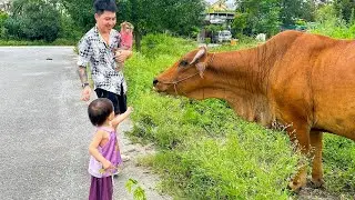 Diem and Monkey Kaka were curious when they saw the cow.