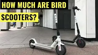 How Much Are Bird Scooters?