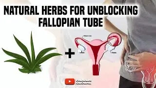 NATURAL HERBS FOR UNBLOCKING FALLOPIAN TUBE