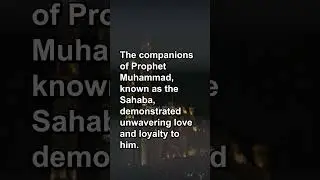 The Love and Devotion of Prophet Muhammad's Companions || #shorts #islam #islamicshorts