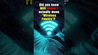 А вы знали, что Wi-Fi &mdash; это устройство, которое умеет всё? 📶🤯