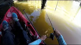 HUGE school of Redfish and SHEEPSHEAD fishing with Frozen fiddler crabs! (Kayak fishing)