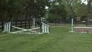 kallie canter line