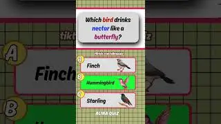 Do you know? | general knowledge quiz | Bird quiz #quiz #gk #doyouknow #birds