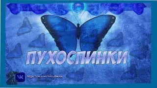WoW BFA: Качаем фрост мага для ключей!
