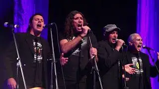 Tabaré Cardozo - Tiempo animal