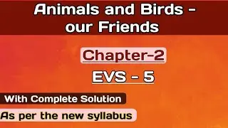 Animals and Birds- Our Friends // EVS // Chapter 2 // Class 5 // #EVS