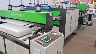 2021 Chinaplas PP Hollow Corrugated Packaging Advertising Box Making Sheet Machine Show