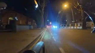 02. Jan. 2026 Deer in Phoenix Park, Car driving with flat tire, Cyclist blocking the road. Enjoy :)