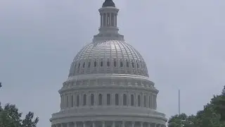 Animal Cruelty Now Federal Crime