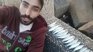 صيد البورى فى شاطئ الموت