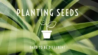 Planting Seeds | Dare To Be Different Podcast with Alisha Altieri