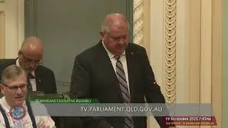 Tobacco and Other Smoking Products Amendment Bill - 19/11/25