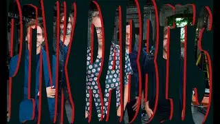 The National  -  Pink Rabbits [Lyrics & Chords]