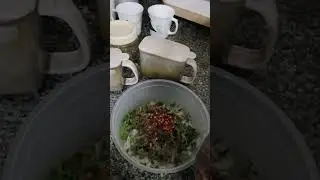 #newrecipe #viralrecipe #tastyrecipes #creative #yammy #yummy #omeletrecipe #omelette #food #viral #