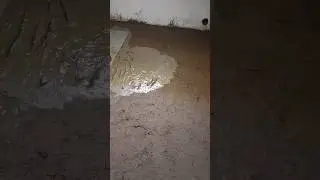 Tiles🔥 floor 😱 tiles, 🔥 installation #shorts#youtube#youtubeshorts#rccwork#home#constuction