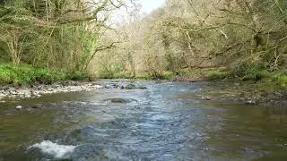 River Tavy Dartmoor 4K