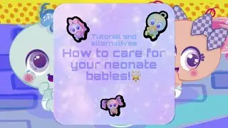 Owner one🌟! How to care for your neonate nerlies//includes a tutorial and alternatives