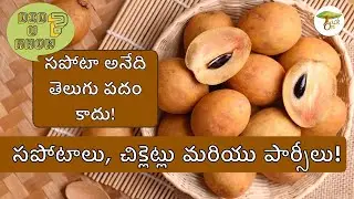 Where Did #Sapota Come From? (Telugu) | TackOn