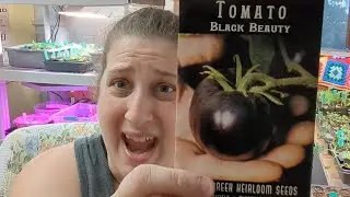 Heirloom Tomato Varieties