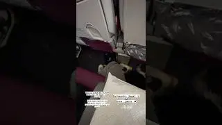 Flying from Nepal to Qatar with My Husky 🇳🇵