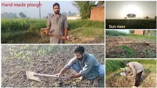 hand made plough & work in farm in morning time & messages by @jugnoojugmug7215 #ploughing#handmade