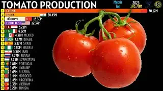 TOP 20 LARGEST TOMATO PRODUCERS IN THE WORLD