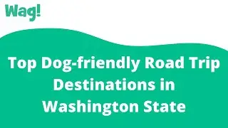 Top Dog-friendly Road Trip Destinations in Washington State | Wag!
