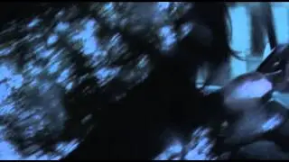 Ballad of Creedtallica  --  Shakashuri