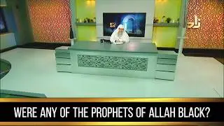 Were any of the Prophets of Allah Black? - Assim al hakeem