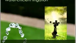 Outdoor Water Efficiency