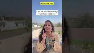 Bandar ko ghar se door kaise bhagaye | Repel Monkeys away from your home #shorts
