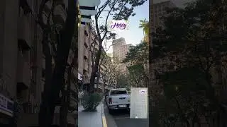 Early morning walk, #shorts #shortvideo #short